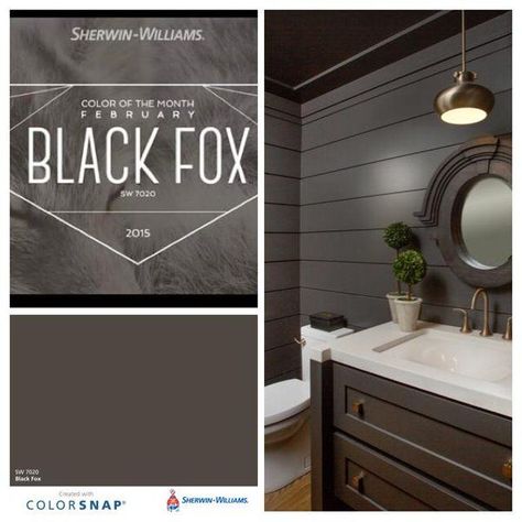 For bedroom or foyer accent wall Black Fox Sherwin Williams, Sherwin Williams Black, Color Of The Month, Gray Walls, Black Fox, House Color Schemes, Interior Paint Colors, Paint Colors For Living Room, Updating House