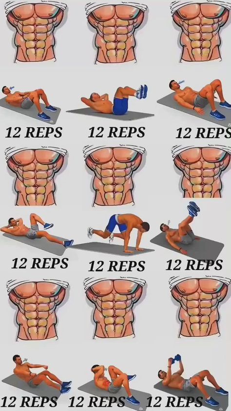 Gym Workout Apps, Gym Workout Guide, Workout Program Gym, Gym Workout Planner, Six Pack Abs Workout, Muscle Abdominal, Latihan Kardio, Bodybuilding Workout Plan, Workout Bauch