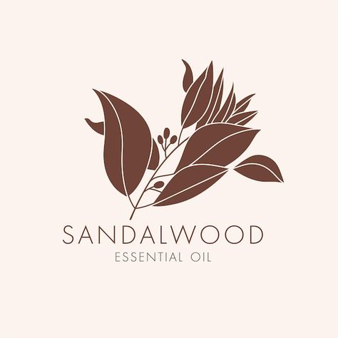 Vector linear botanical icon and symbol ... | Premium Vector #Freepik #vector #sandalwood #herbal-oil #branch #floral-tree Sandalwood Tree, Flower Shop Interiors, Wood Packaging, Floral Tree, Wood Logo, Tree Icon, Sandalwood Essential Oil, Minimalist Drawing, Vintage Packaging