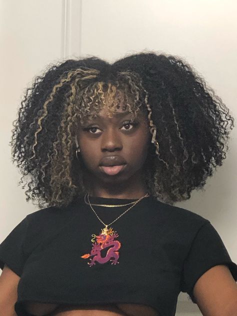 olivia ! on Twitter: "late night… " Curly Hair Skunk Stripe, Black Girls Dyed Hair Ideas, Skunk Stripe Curly Hair, Curly Dyed Hair Natural Curls, Dyed Curly Hair Ideas, Curly Hair Dye, Curly Dyed Hair, Curly Hair Dyed, Curly Hair Ideas