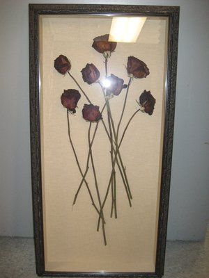 Real dried roses in a shadow box Dried Flower Crafts, Diy Shadow Box Ideas, Shadow Box Ideas, Memories Last Forever, Dried Flowers Diy, Dried Roses, Drying Roses, Diy Shadow Box, Pressed Flower Crafts