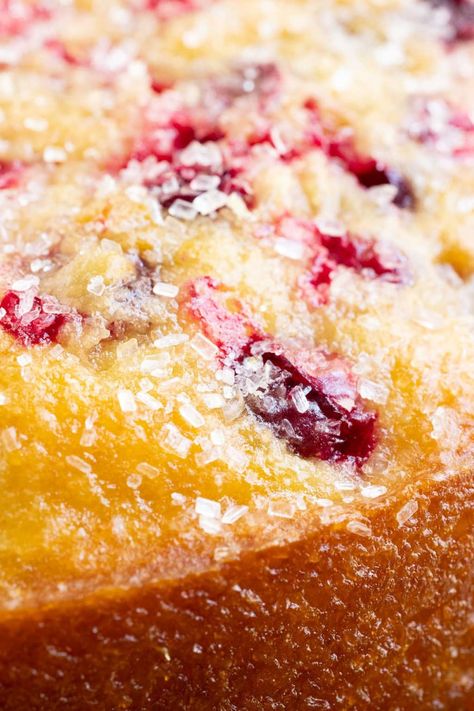 Cranberry Orange Loaf Cake Joy The Baker, Cranberry And Orange Loaf Cake, Orange Cranberry Pound Cake Recipe, Panera Cranberry Orange Bread, Cranberry Buttermilk Breakfast Cake, Cranberry Orange Crumb Cake, Orange Cranberry Loaf Cake, Cranberry Orange Coffee Cake Recipes, Cranberry Orange Pecan Crisp