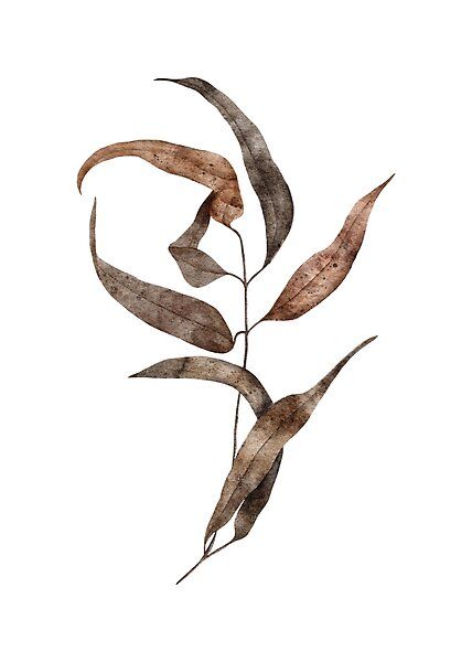 Dry brown eucalyptus leaf in watercolors by TinyFlowerArt | Redbubble Brown Eucalyptus, Willow Eucalyptus, Seasons Changing, Painting Flowers Tutorial, Dried Eucalyptus, Eucalyptus Leaf, Flowers Tutorial, Painting Flowers, Eucalyptus Leaves