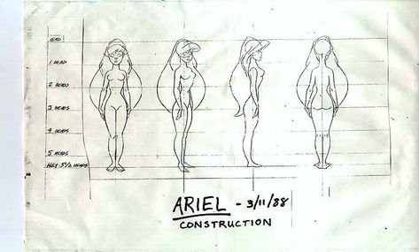 Ariel human proportions Disney Proportions, Human Ariel, Ariel Human, Human Proportions, Cartoon Reference, Little Mermaid Characters, Disney Art Style, Character Reference Sheet, Character Turnaround