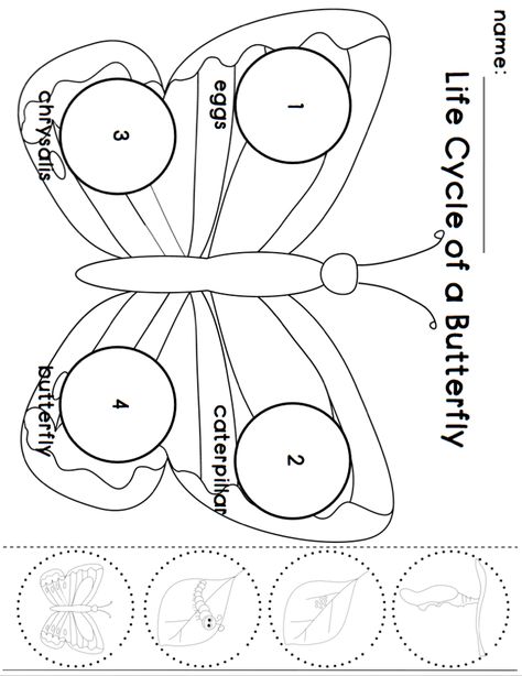 Kindergarten Butterfly, Butterfly Life Cycle Preschool, Life Cycles Preschool, Butterfly Life Cycle Craft, Hungry Caterpillar Activities, Life Cycle Craft, Butterflies Activities, Bugs Preschool, Animal Life Cycles