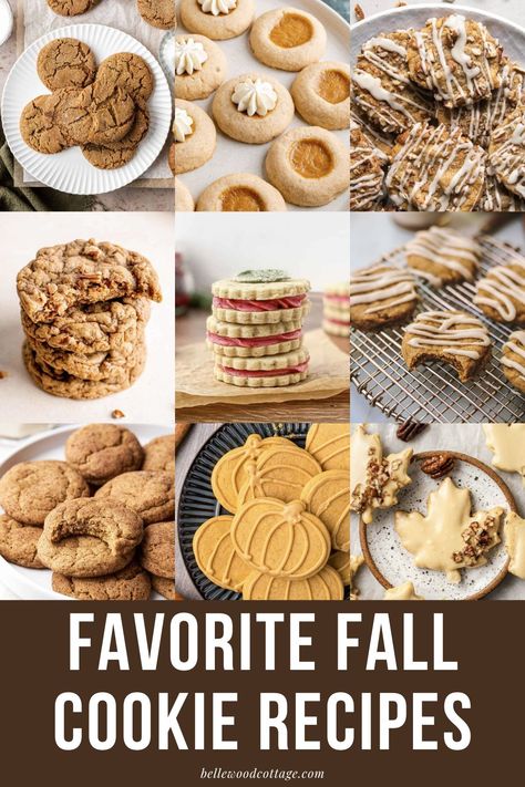 This list of over 45 Cookie Recipes for Fall is packed with autumn favorites (like Soft Frosted Pumpkin Cookies) and new ideas (like Sage Sandwich Cookies or Biscoff Butter Cookies). You'll find plenty of recipe ideas for Thanksgiving desserts, fall parties, or for an afternoon of cozy fall baking. The list also includes vegan cookie recipes and gluten-free cookies so you can prepare delicious treats for everyone. Best Cookies With Tea, Fall Baked Goods Recipes Easy, Fall Cookies Chocolate, Unique Fall Cookies, Cookie Recipes Unique Easy, Fall Cookie Tray Ideas, Fun Fall Cookie Recipes, Cookies To Sell Ideas, Best Fall Cookies Recipes