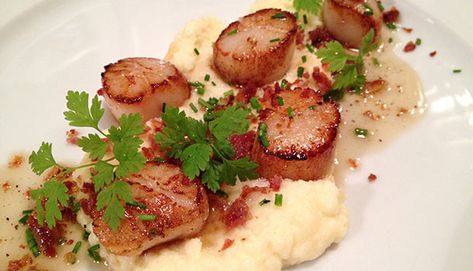 Scallop Starter, Parsnip Puree, Seared Scallops, Paste Recipe, Best Bacon, Scallops Seared, Parsnips, Crispy Bacon, Food Market