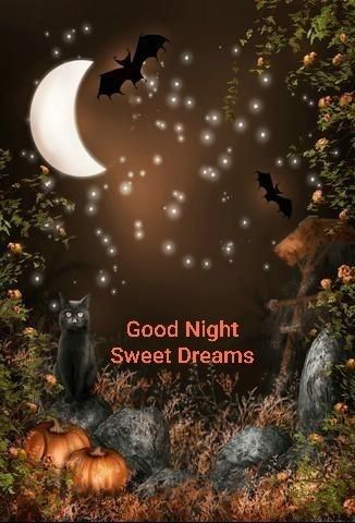 Halloween Good Night, Happy Halloween Pictures, Hug Quotes, Beautiful Good Night Images, Good Morning Images Hd, Fall Images, Cute Good Night, Slaap Lekker, Halloween Gif