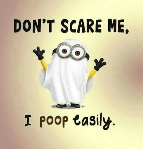 Don't scare me I poop easily. Short bowel syndrome, ibs Potty Humor, Minions Images, Minions Humor, Minion Jokes, Minions Love, Cute Minions, Funny Minion Quotes, Minion Quotes, Minions Quotes