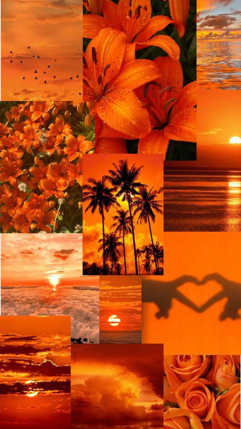 Love Asthetic Wallpers, Aesthetic Chicas, Valentina Core, Orange Aesthetics, Orange Wallpapers, Wallpaper Collages, Tropical Aesthetic, Instagram Profil, Autumn Orange