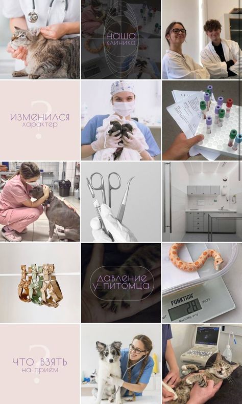 Clinic Plan, Vet Aesthetic, Dog Grooming Salons, Vet Clinic, Pet Vet, Vet Clinics, Veterinary Clinic, Animal Hospital, Instagram Highlight Icons