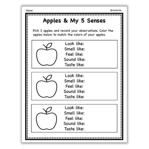 5 Senses Apple Activity [Free Printable] | Mombrite Five Senses Activity, Senses Activity, 5 Senses Preschool, 5 Senses Worksheet, 5 Senses Activities, Preschool Apple Theme, Senses Preschool, The 5 Senses, Coin Tricks