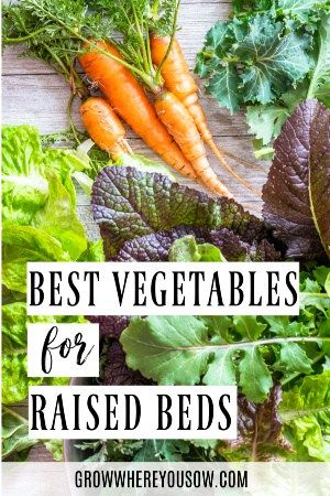 Homestead Gardening, Best Vegetables, Acre Homestead, Aquaponic Gardening, Bountiful Harvest, Raised Bed, Planting Vegetables, Raised Beds, Growing Vegetables