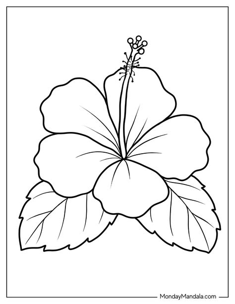 Flower Drawing To Color, Easy Coloring Drawings, Printable Sunflower Coloring Page, Traceable Flower Drawings, Coloring Books Pages, Hawaiian Flower Coloring Pages, Images To Color Free Printable, Cute Drawing Ideas Easy Flowers, Hibiscus Coloring Page