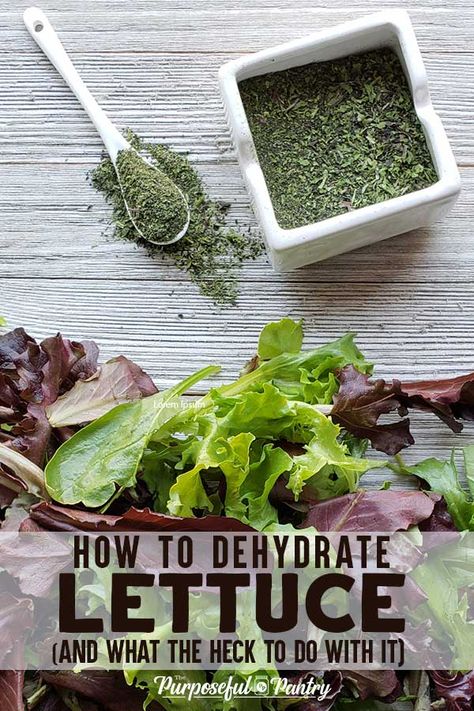 How To Preserve Lettuce From Garden, How To Preserve Lettuce, Preserve Lettuce, Dehydrating Vegetables, Pantry Mixes, Dehydrating Recipes, Pantry Stock, Dehydrating Food Storage, Lettuce Recipes