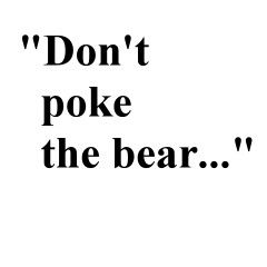 Click for meaning of the phrase "Don't poke the bear....." at http://www.urbandictionary.com/define.php?term=don't%20poke%20the%20bear The Bear Quotes, Positive Daily Quotes, Bear Quotes, Adjective Meaning, Dont Poke The Bear, Poke The Bear, Bear Cabin, Bear Quote, Love Bears All Things