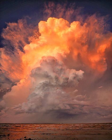 Breathtaking Earth on Twitter: "A breathtaking sunset over Moreton Bay in Sandgate, Queensland https://t.co/aFjQ5gCtNj" Stormy Sunset, Earth Pictures, Clouds Photography, Cloud Art, Amazing Sunsets, Queensland Australia, Sunset Sky, Sky And Clouds, Beautiful Sky