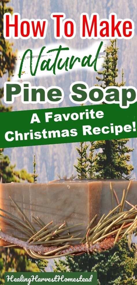 Hot Soap Process Recipes, Pine Soap Recipe, Homemade Pine Tar Soap, How To Make Pine Essential Oil, Hot Process Christmas Soap Recipes, Essential Oil Blends For Colds, Essential Oil Soap Recipe, Christmas Cold Press Soap, Natural Christmas Soap