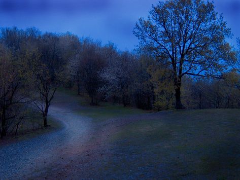 Level 39 is a series of twisting dirt paths with an expansive oak forest covering both sides. This level is finite, spanning an approximate 300 kilometers (190 miles) across in a circular shape. Level 39 does not have a day-night cycle, and is instead stuck in a constant state of late dusk. Despite normally appearing during the time which Level 39 constantly emulates, celestial bodies have yet to be observed within Level 39. The Backrooms, Oak Forest, Single Tree, Dreamcore Weirdcore, Forest Path, Ufo Sighting, Forest House, Enchanted Forest, Stop Motion