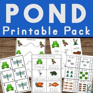 HUGE pack of free Pond Worksheets filled with math and literacy activities for pre-k and kindergarten. From the pond free printables are SUPER CUTE! Frog And Pond Preschool Theme, Pond Animals Preschool Free Printable, Pond Unit Preschool, In The Small Small Pond Activities, Pond Math Activities Preschool, Pond Habitat Preschool, Pond Worksheets Preschool, Pond Activities For Kindergarten, Pond Activities For Kids