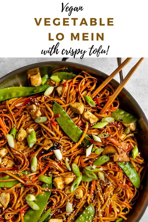 Vegan Noodle Sauce, Tofu Chow Mein, Vegan Lo Mein Recipe, Tofu Lo Mein, Vegan Chow Mein Recipe, Vegan Rice Noodle Dishes, Plant Based Chinese Recipes, Vegan Noodle Dishes, Vegan Rice Noodles