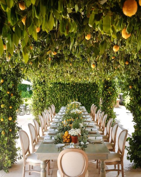 Dream Garden Wedding, Forest Wedding Decorations, Unique Event Decor, Events Place, Garden Wedding Reception, Beautiful Outdoor Living Spaces, Desain Pantry, Backyard Reception, Dinner Event