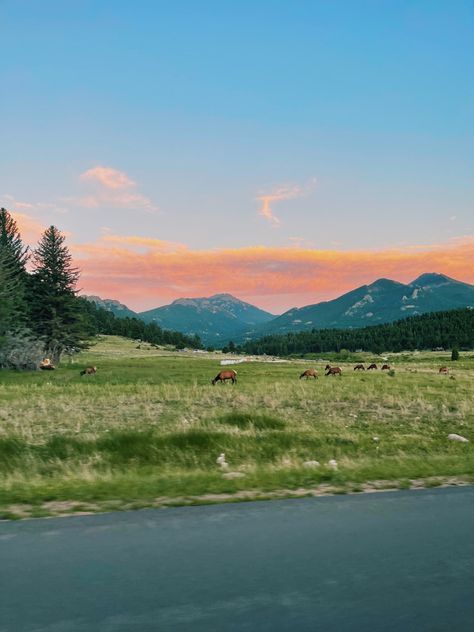 Mountains, wildlife, sunset, summer Estes Park, Colorado spring sunset, summer sunset, travel, elk, deer, nature Colorado Aesthetic, Colorado Summer, Estes Park Colorado, Sunset Summer, Pretty Landscapes, Estes Park, Pretty Sky, On The Road Again, Summer Dream