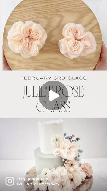 Dara Waitkus on Instagram: "Next Friday’s class (2/3) at The Piped Peony Academy will be on how to pipe the most romantic flower-the Juliet Rose! It will be joining the other beautiful rose classes in The Rose Series. 

Don’t forget that students get discounts on supplies through our preferred suppliers! Our suppliers are wonderful! 

Link in bio or www.thepipedpeony.com

#flowerpiping #pipingtechniques #piping#pipingskills #pipingflowers 
#flowercake #cakedecorator #cakelove #cakeinspiration #cakestagram #flowercakes #cakeflowers #flowercupcakes #buttercreamcake #rosecake #floralcake" Piped Peony, Floral Baking, Juliet Rose, Piping Flowers, Piping Techniques, Next Friday, Flower Cupcakes, Rose Cake, Romantic Flowers