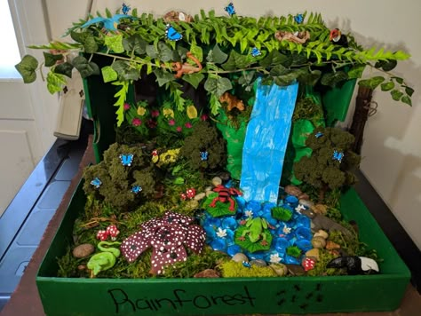 Forest Diorama Shoebox School Projects, Rain Forest Diorama, Shoe Box Diorama Rainforest, Amazon Rainforest Diorama, Diorama Tropical Rainforest, Landform Projects, Rainforest Crafts, Doll House For Boys, Rainforest Project