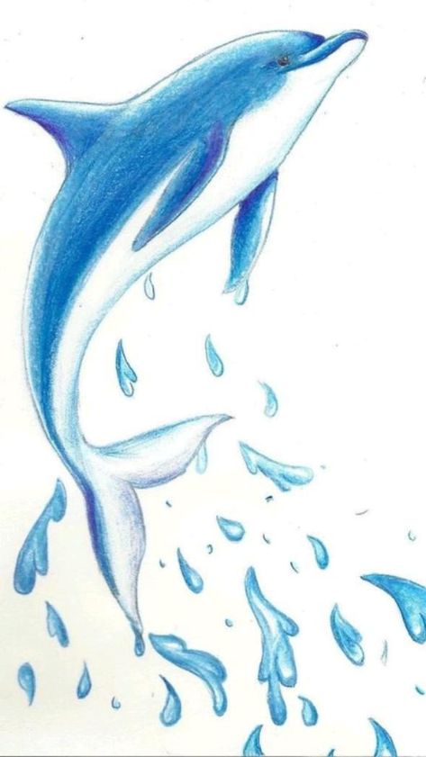 Drawing One Line, Dolphin Drawing, Dolphin Painting, Dolphins Tattoo, Sea Drawing, Dolphin Art, A Dolphin, Fish Drawings, 수채화 그림