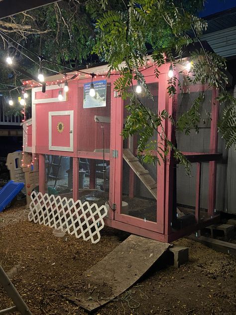 Pink Chicken Coop Ideas, Girly Chicken Coop, Colorful Chicken Coop, Pink Chicken Coop, Aesthetic Chicken Coop, Agriculture Aesthetic, Bunny Habitat, Fancy Chicken Coop, Sitting Under A Tree