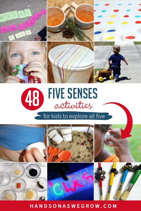 Explore touch, sound, smell, sight and taste activities with these 48 simple sensory activities for toddlers and preschoolers to do at home. 5 Senses For Preschool, 5 Senses Crafts For Toddlers, 5 Senses Activities For Toddlers, Preschool 5 Senses Activities, 5 Senses Preschool Activities, Senses Activities For Kids, 5 Senses Activities For Preschoolers, Five Senses Activities, 5 Senses Activities