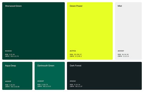 Neon Green Hex Code, Dark Green Brand Color Palette, Green Color Branding, Bright Green Branding, Innovation Color Palette, Green And Orange Branding, Jade Green Color Palette, Luxury Green Color Palette, Brand Color Pallete