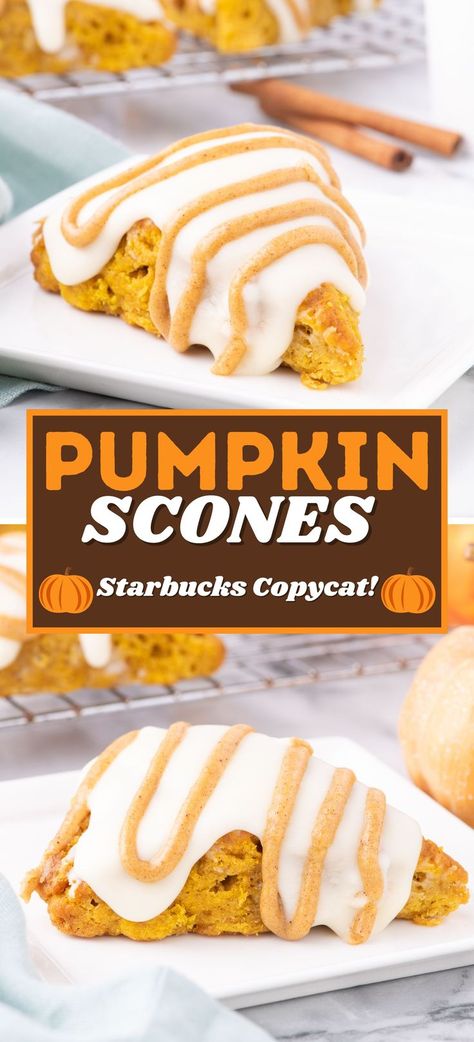 homemade starbucks pumpkin scones on a white plate Classic Pumpkin Scones, Best Pumpkin Scones, Easy Pumpkin Scones, Maple Pumpkin Scones, Buttermilk Pumpkin Scones, Easy Pumpkin Scones Recipe, Pumpkin Scones Recipe Easy, Scone Recipes Easy, Pumpkin Scones Healthy