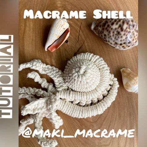 Braiding Rope, Macrame Shell, Slow Video, Shell Diy, Macrame Plant Hanger Patterns, Macrame Dream Catcher, Shells Diy, Macrame Knots Pattern, Mermaid Diy