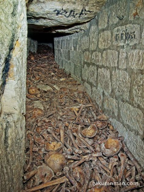 The Catacombs of Paris Weird Collections, Catacombs Of Paris, Paris Catacombs, The Catacombs, Momento Mori, Cemetery Art, The Crossroads, Scary Places, Haunted Places