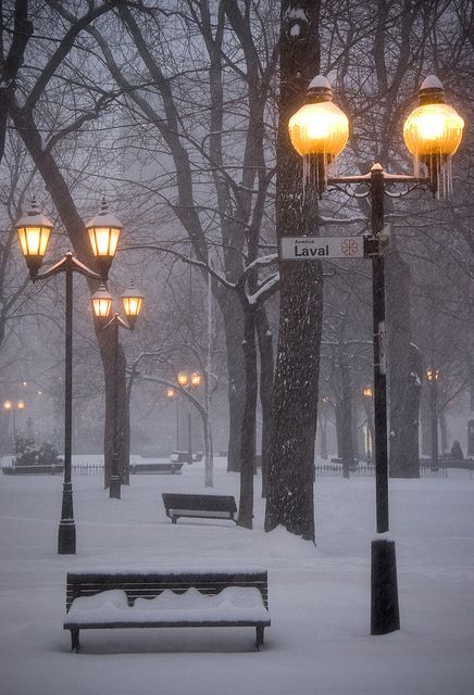 Era Victoria, Winter Schnee, Winter Szenen, Street Lights, Winter Love, Winter Magic, Design Exterior, Winter Scenery, Winter Beauty