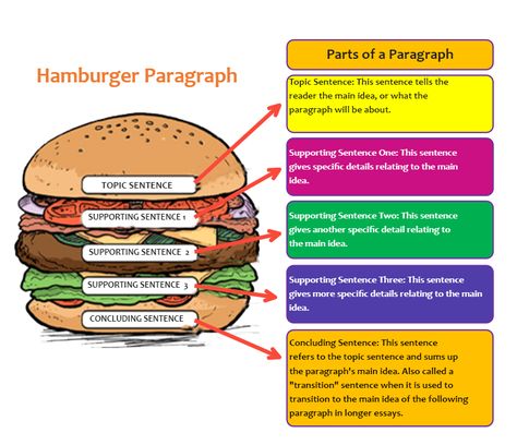 Hamburger Style Paragraph Steps For Writing A Paragraph, Burger Paragraph Writing, Hamburger Method For Writing, Hamburger Paragraph Writing Free, Paragraph Graphic Organizer, Hamburger Writing Template Free, How To Write A Paragraph Step By Step, Hamburger Graphic Organizer, Hamburger Writing Template