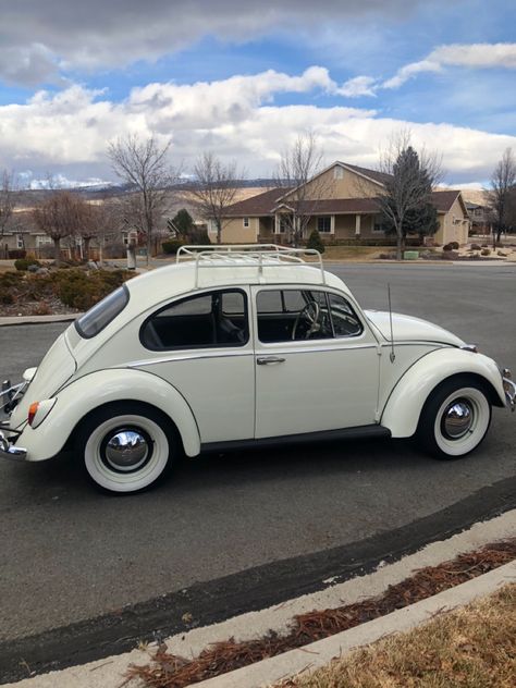 1965 Volkswagen Beetle, Volkswagen Bug, Vw Bug, Vw Beetle, Vw Beetles, Volkswagen Beetle, Beetles, White Walls, School Outfits