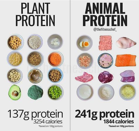 Protein Sources For Vegans, Loose Weight Meal Plan, Carbohydrates Food List, Plant Based Protein Sources, Protein Meal Plan, Protein Meats, Beauty Tiktok, Vegan Protein Sources, Smoothie Bowl Healthy