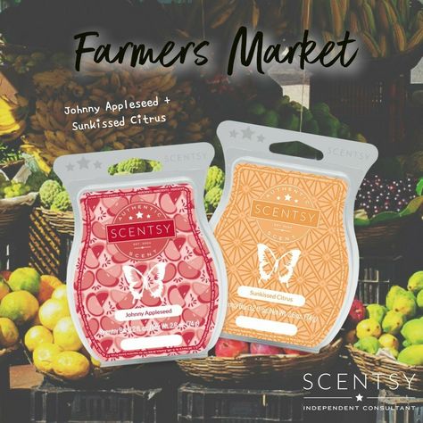 Scentsy Mixology 2022 Fall, Scentsy Combinations, Scentsy Combos, Scentsy Bundles, Scentsy 2022, Scentsy Mixers, Scentsy Mixology, Scentsy Recipes, Scentsy Marketing