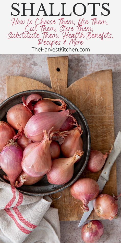 Shallot Recipes, Quick Pickled Onions, Harvest Kitchen, Italian Chopped Salad, Wild Garlic, Pickled Onions, Minced Onion, How To Store, Food Preservation