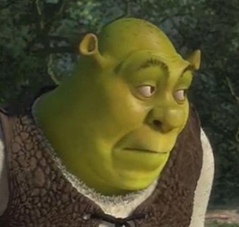 Shrek Funny, Shrek Memes, Every Teenagers, Meme Faces, Shrek, Reaction Pictures, Mood Pics, Dankest Memes, Funny Pictures