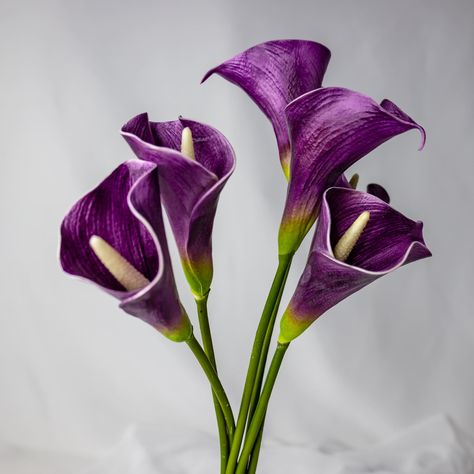 "Australian real touch Mauve Mini calla (arum) lilies, meticulously crafted for a remarkably natural look and feel. These high-quality artificial flowers seamlessly blend with fresh blooms, making it challenging to distinguish between them. Enhance your floral arrangements with these exquisite lilies that bring an authentic touch of beauty and elegance to any occasion. Australian real touch Mauve Mini calla lilies provide a long-lasting solution for adding a touch of natural beauty to your floral creations, effortlessly enhancing the overall aesthetic of any arrangement or event. Size: 28cm O'all; Flower: 4cm dia, 9cm L TIP: Lightly steaming the flowers will soften the fabric, and allow you to shape them.Realistic Artificial Flowers Our stunning range of Artificial Flowers and Greenery are Arum Lilies, Lily Purple, Purple Calla Lilies, Mini Calla Lilies, Arum Lily, Calla Lily Flowers, Asiatic Lilies, Long Flowers, Artificial Flowers And Plants