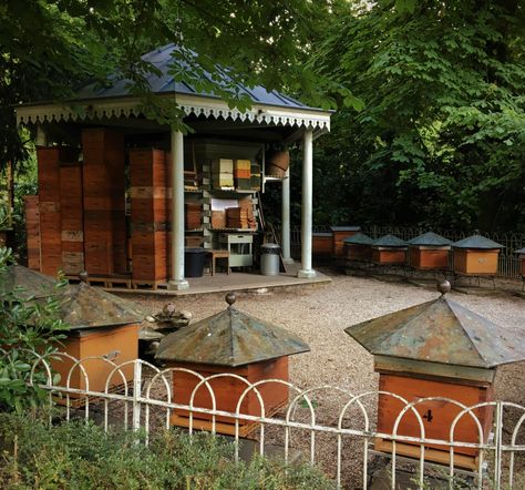 Explore the most romantic garden in Paris!  #RomanticGarden #Paris #GardenOfTheQueens #FrenchGardens #FrenchPalaces #jardin #garden #Beehive #Bees #Ponies #Statues #Fountains #Medici #France #ThingsToDoInParis #Abeilles Apiary Design, Bee Hives Boxes, Parisian Garden, Homesteading Animals, Bee Houses, Luxembourg Gardens, English Gardens, Paris Vacation, Children's Garden