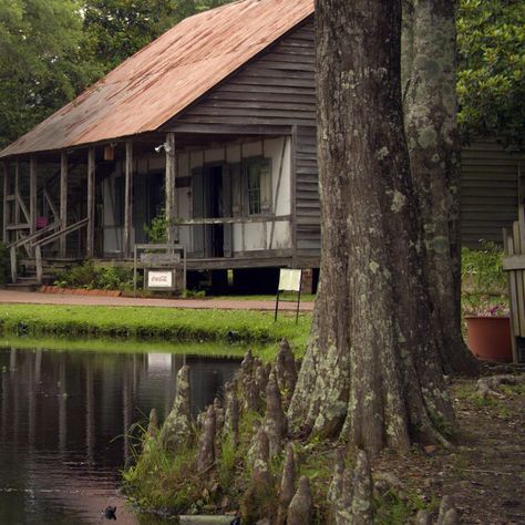 Bayou Aesthetic, Swamp Cabin, Bayou Cottage, Cajun Cottage, Bayou House, Mississippi River Delta, Bayou Country, Cypress Swamp, Creole Cottage