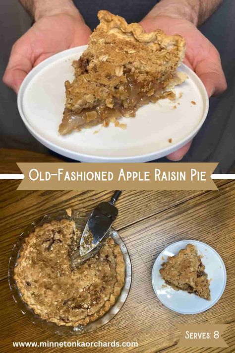 Apple Raisin Pie, Sour Cream Raisin Pie Old Fashioned, Apple Raisin Pie Recipe, Old Fashioned Raisin Pie Recipe, Raisin Pie Recipe, Sour Cream Raisin Pie, Old Fashioned Apple Pie, Raisin Pie, Raisin Recipes