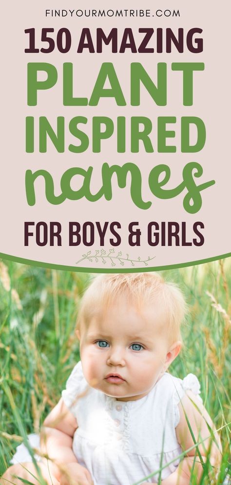 You want to choose a unique and earthy name for your little one? Then, check out this amazing collection of plant inspired names. #cutenames #babynameinspiration #babynamesplants Plant Baby Names, Earthy Names, Feminine Names, Name Drawings, Names For Boys, Unusual Names, French Names, Unisex Name, Greek Names