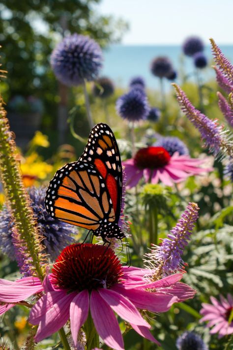 Wildflower Garden Bed, Grow Butterflies, Wild Flower Quotes, Butterfly Feeders, Butterfly Feeder, Garden Wild, Hummingbird Plants, Bed Cottage, Grow Wildflowers