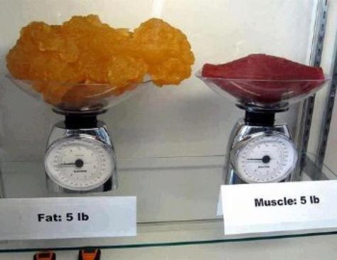 "Muscle doesn't weigh more than fat!... 5 lbs is 5 lbs as you can see in the picture. What you probably mean is that muscle is denser than fat i.e. given the same weight muscle will take up less space than fat. And while we are on myth busting muscle doesn't turn to fat and fat doesn't turn to muscle!" Randy Gruezo Fat Vs Muscle, 5 Lbs Of Fat, Pound Of Fat, 1200 Calories, Health Inspiration, I Work Out, Body Fat, Build Muscle, Get Healthy